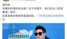 潘伟博最新爆料消息,揭秘娱乐圈惊人内幕