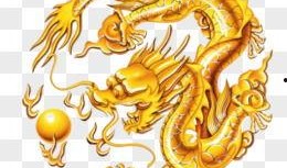 爆料五爪金龙视频大全最新,最新视频大全带你领略神秘国宝风采