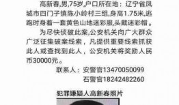 江西李鑫宇爆料事件最新,真相与争议交织的舆论漩涡