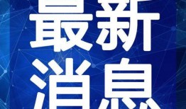 柠檬大叔爆料视频大全最新,揭秘视频大全背后的惊人真相
