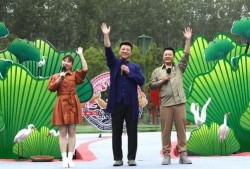 衢州公馆视频爆料最新,揭秘豪宅背后的惊人真相
