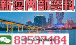 澳门最新内部爆料新闻,揭秘最新惊天秘密