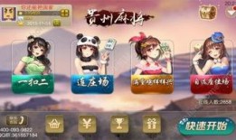 贵州麻将直播爆料最新版,最新版玩法揭秘，带你领略麻将新境界！