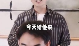 河南姐夫哥最新爆料,揭秘惊人内幕！