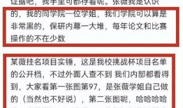 川大校友爆料视频最新版,揭秘校园内幕与真实故事
