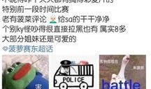 王菠萝事件最新爆料,最新爆料揭露惊人内幕